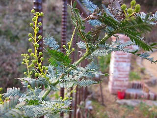 d0172010_21214165.jpg