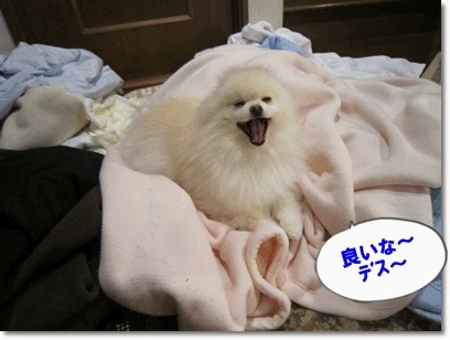 b0167519_14281523.gif