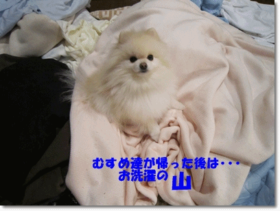 b0167519_14283111.gif