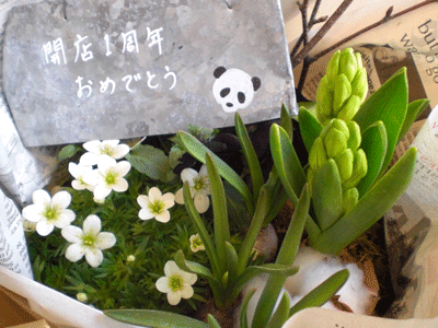 e0219819_236193.gif