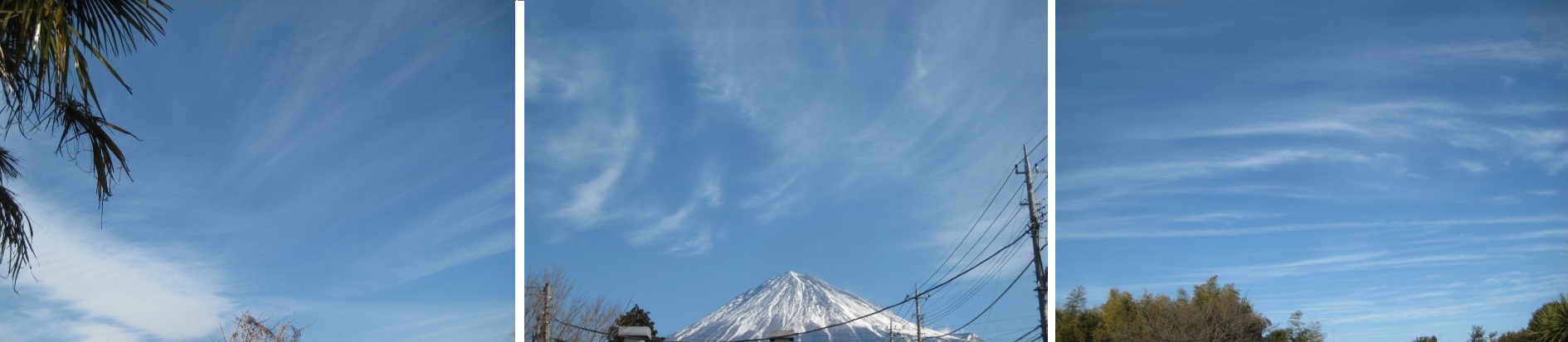 Free Cloud_b0093221_7283635.jpg