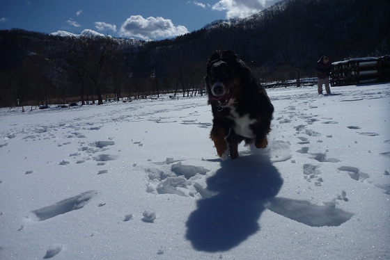 雪遊びｉｎ榛名湖_e0203322_19334973.jpg