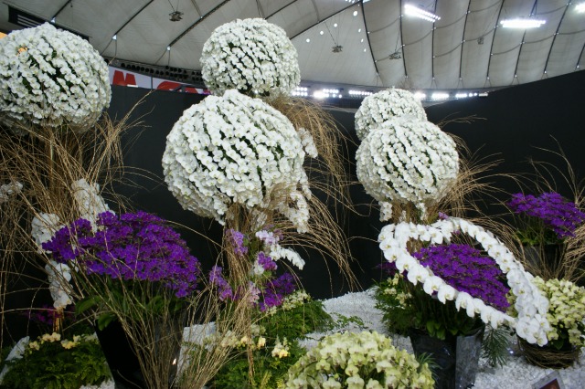 a0122932_14463412.jpg