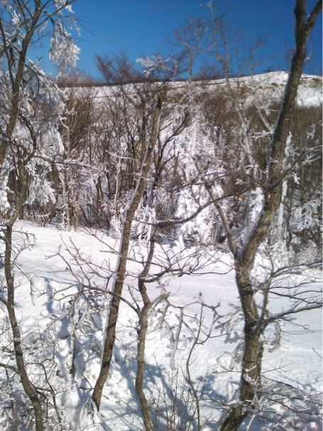 e0097047_0412421.jpg