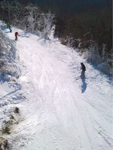 e0097047_0412570.jpg