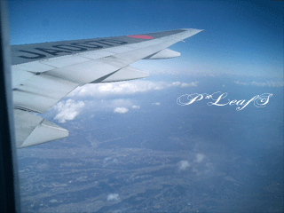 c0176651_1857101.gif