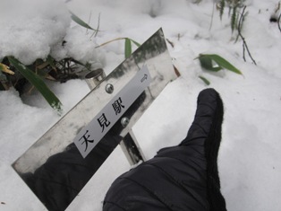 f0221258_87540.jpg