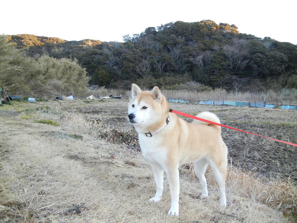 2012年1月31日(火)噂の2人は・・・?_f0060461_15175616.jpg