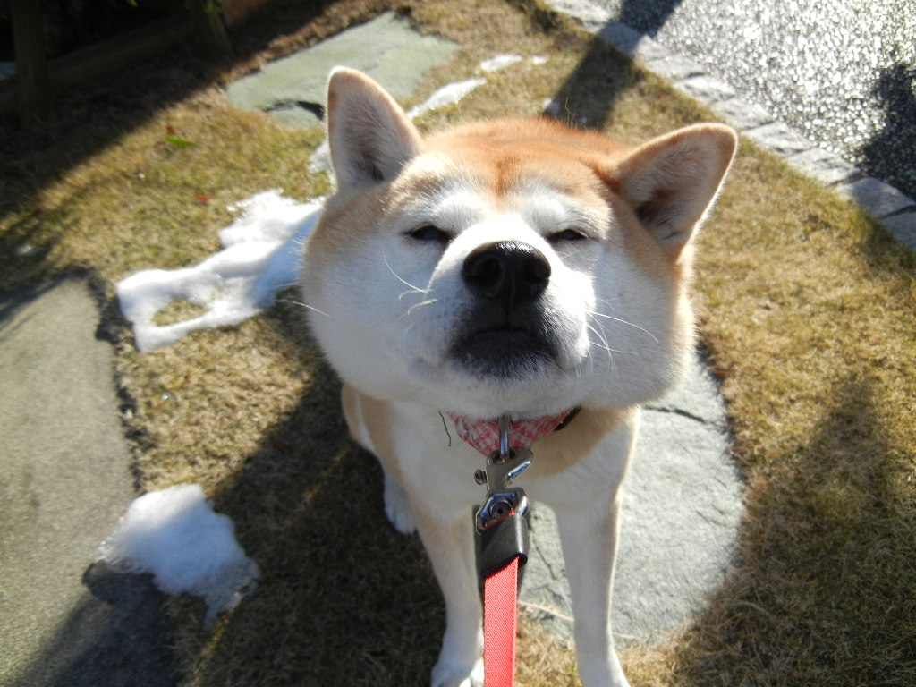 2012年1月31日(火)噂の2人は・・・?_f0060461_15424940.jpg