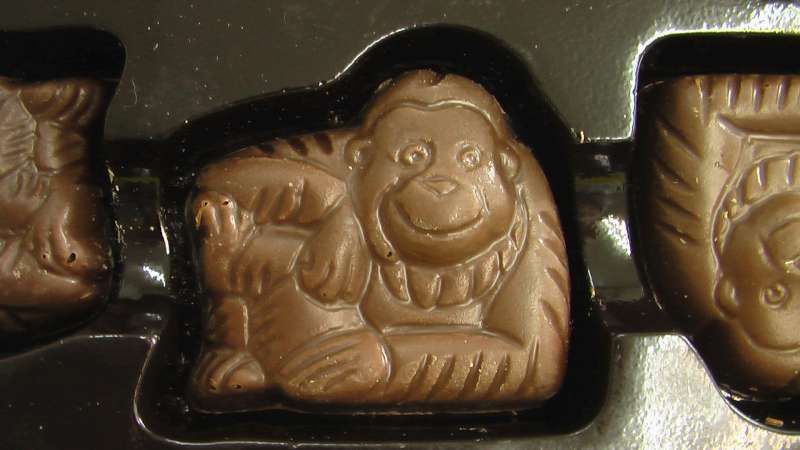 e0183489_1532440.jpg