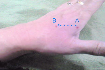 e0175295_22273798.jpg