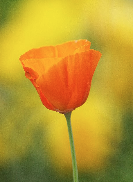 c0171899_20261918.png