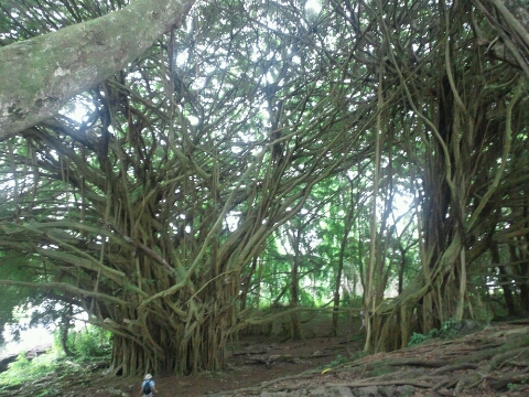 d0051707_16364955.jpg