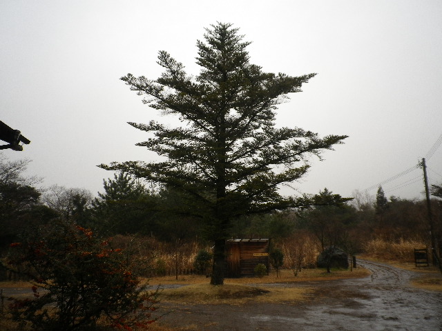 どっち?_e0179508_9121146.jpg