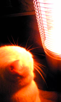 c0180209_0462243.jpg