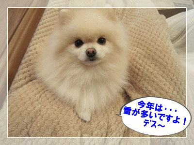b0167519_9342032.gif