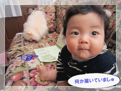 b0167519_9361619.gif