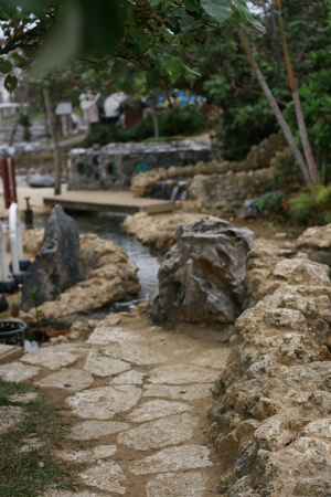 f0097620_2252247.jpg