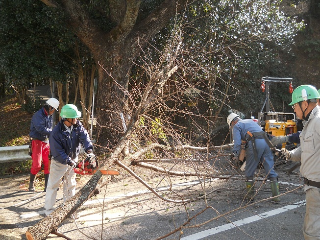 筆山公園整備活動パートⅡ(第436号)_e0138321_23502050.jpg