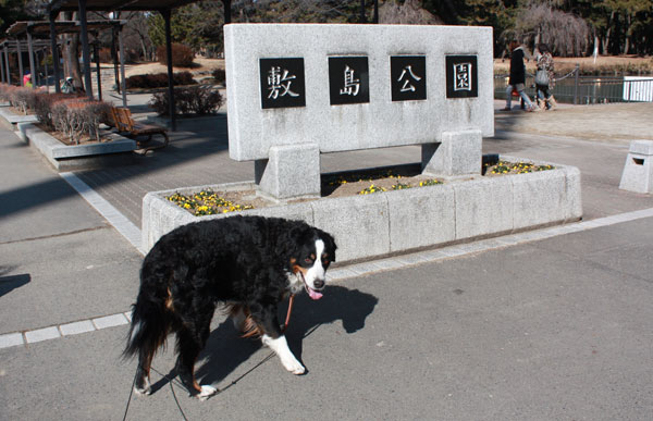 f0203423_20251277.jpg