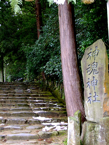「島根県 出雲・松江を巡る旅2011 八重垣神社からどうぞ 本殿国宝の神魂神社(かもすじんじゃ)」_a0000029_0472536.jpg