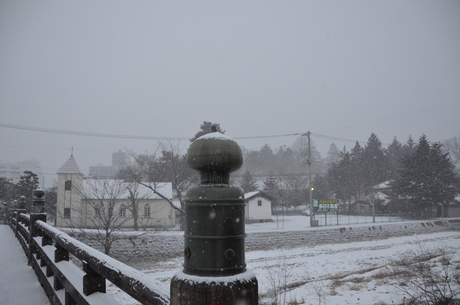 寒すぎる毎日、川も凍ってる。_d0156438_12111422.jpg