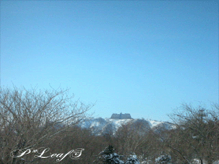 c0176651_1454037.gif