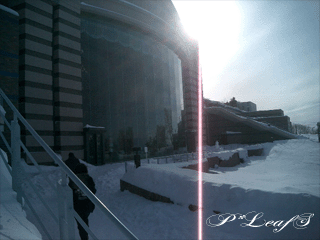 c0176651_14574536.gif