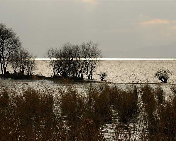 e0035757_18233495.jpg