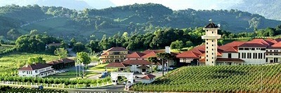 c0185058_95139.jpg