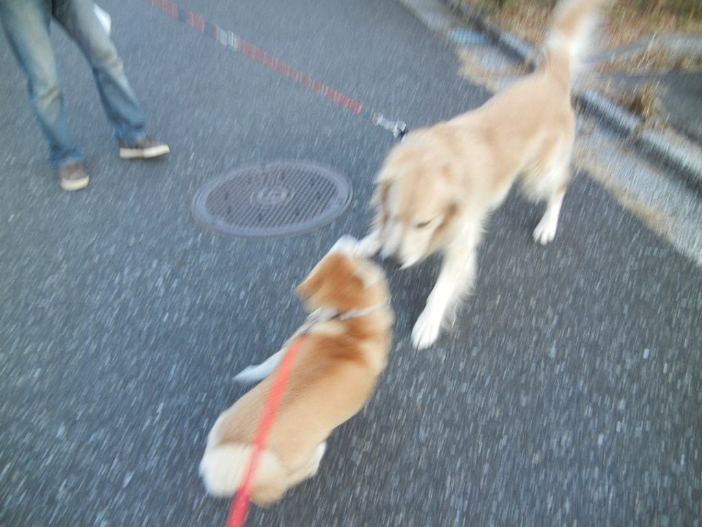 2012年2月1日(水)今日は遼くん記念日です!_f0060461_10173627.jpg