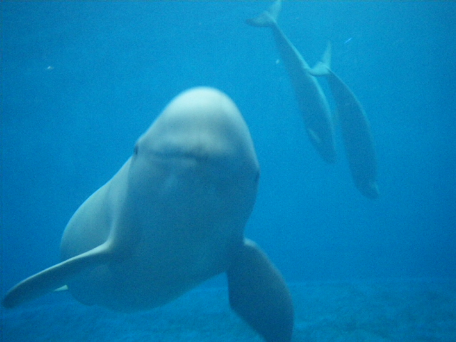 d0230563_12371232.jpg