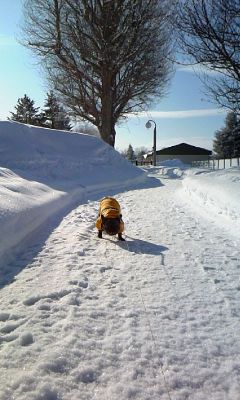 キリリと－20℃_b0056476_12242878.jpg