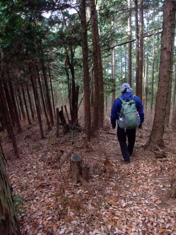 日の出山→御岳山→大塚山　〜1月15日(日)〜　その④_a0043982_1535971.jpg