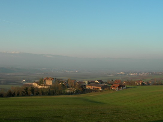 a0189883_2333632.jpg