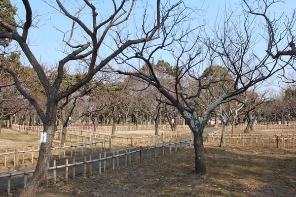 千葉県立中央博物館_a0247884_23372887.jpg