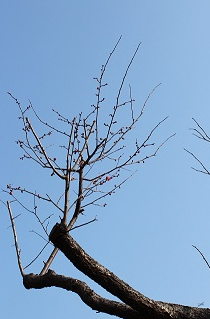 a0247884_2344528.png