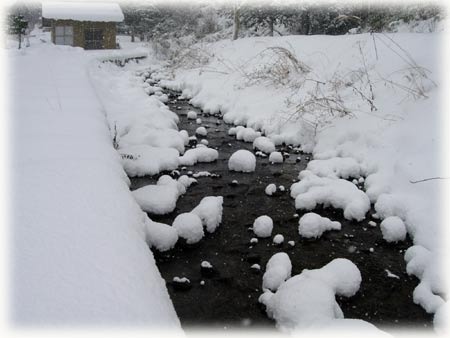 ２月１日　雪吹き上がる！！！_a0130586_20361816.jpg