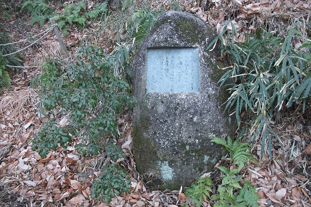 e0070891_1735563.jpg