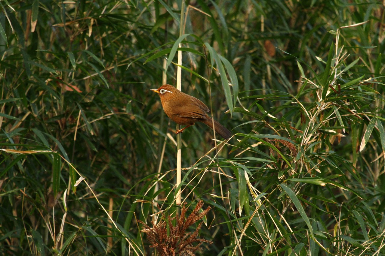 【ルリ男公園にて・・・（９）】_e0167295_22474317.jpg