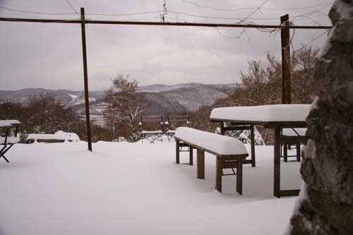 大雪デス_f0106597_182857.jpg