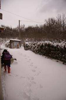 大雪デス_f0106597_18433510.jpg