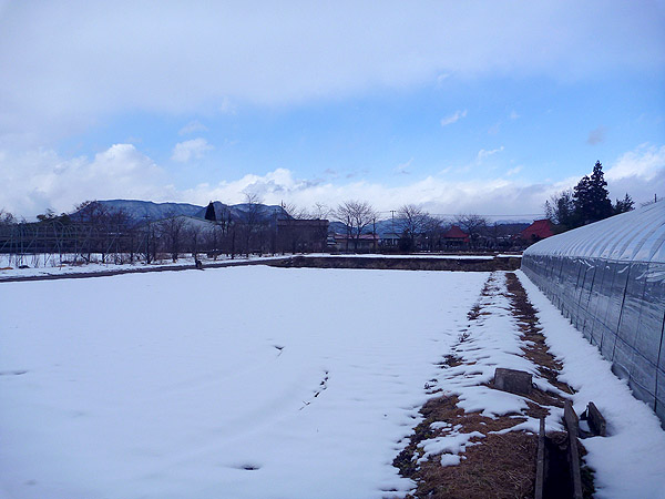 上州日帰りバスツアー（ちょい渋め）_e0204700_955514.jpg