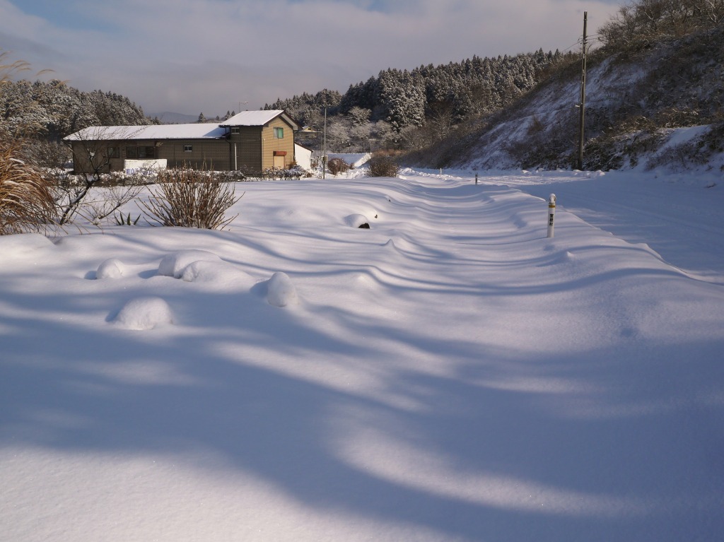 雪のち晴れのち雪のち晴れ_f0138305_19252382.jpg