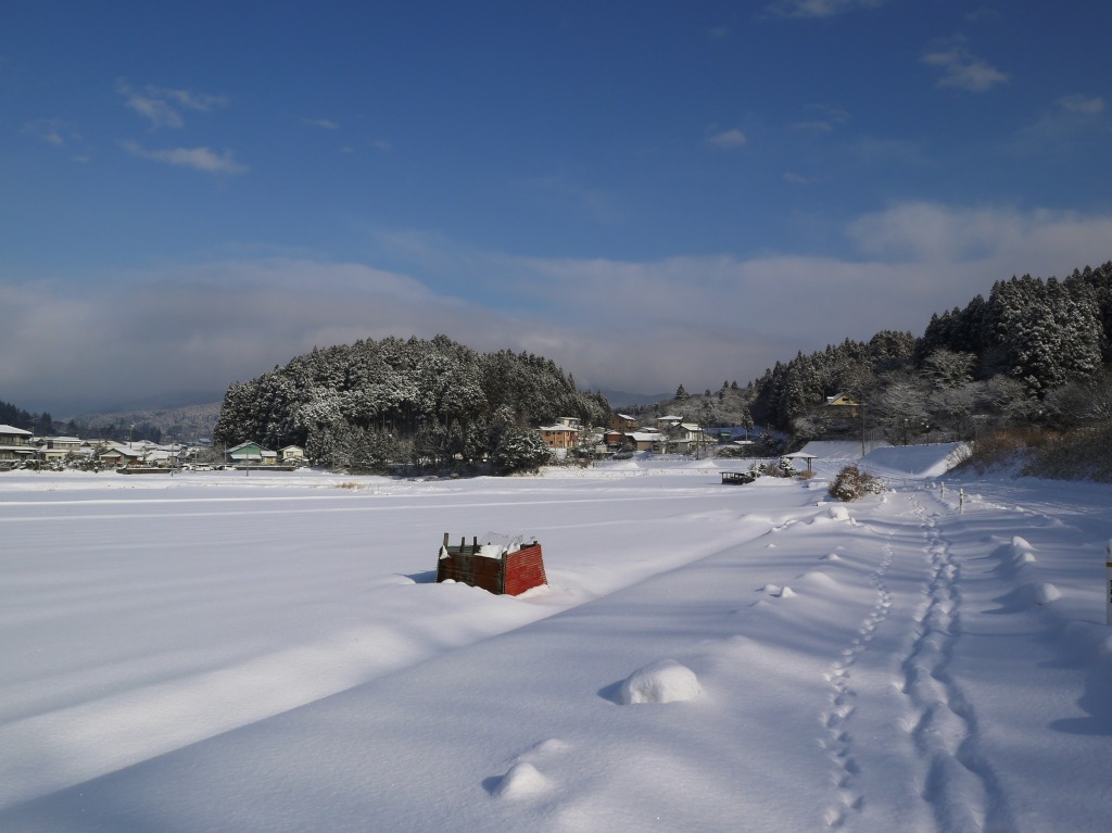 雪のち晴れのち雪のち晴れ_f0138305_19262992.jpg