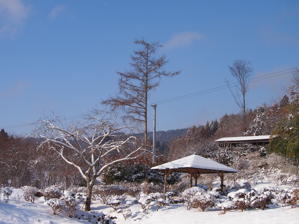 雪のち晴れのち雪のち晴れ_f0138305_19275860.jpg