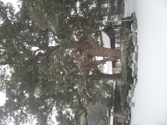 b0114209_9355079.jpg