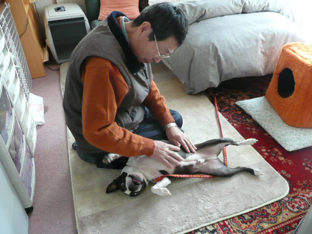 c0165909_12555787.jpg