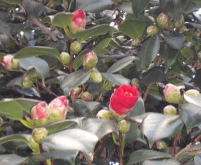 f0231709_8374010.jpg