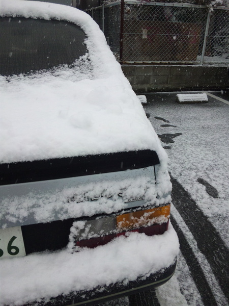 雪ですね・・・_b0179213_8241583.jpg